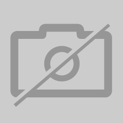 PFORUM Misc Revenue